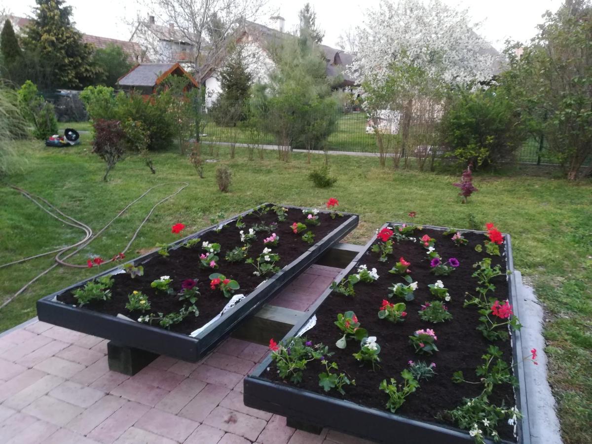 Ferienwohnung Edina Vendeghaz-Gyenesdiás Exterior foto
